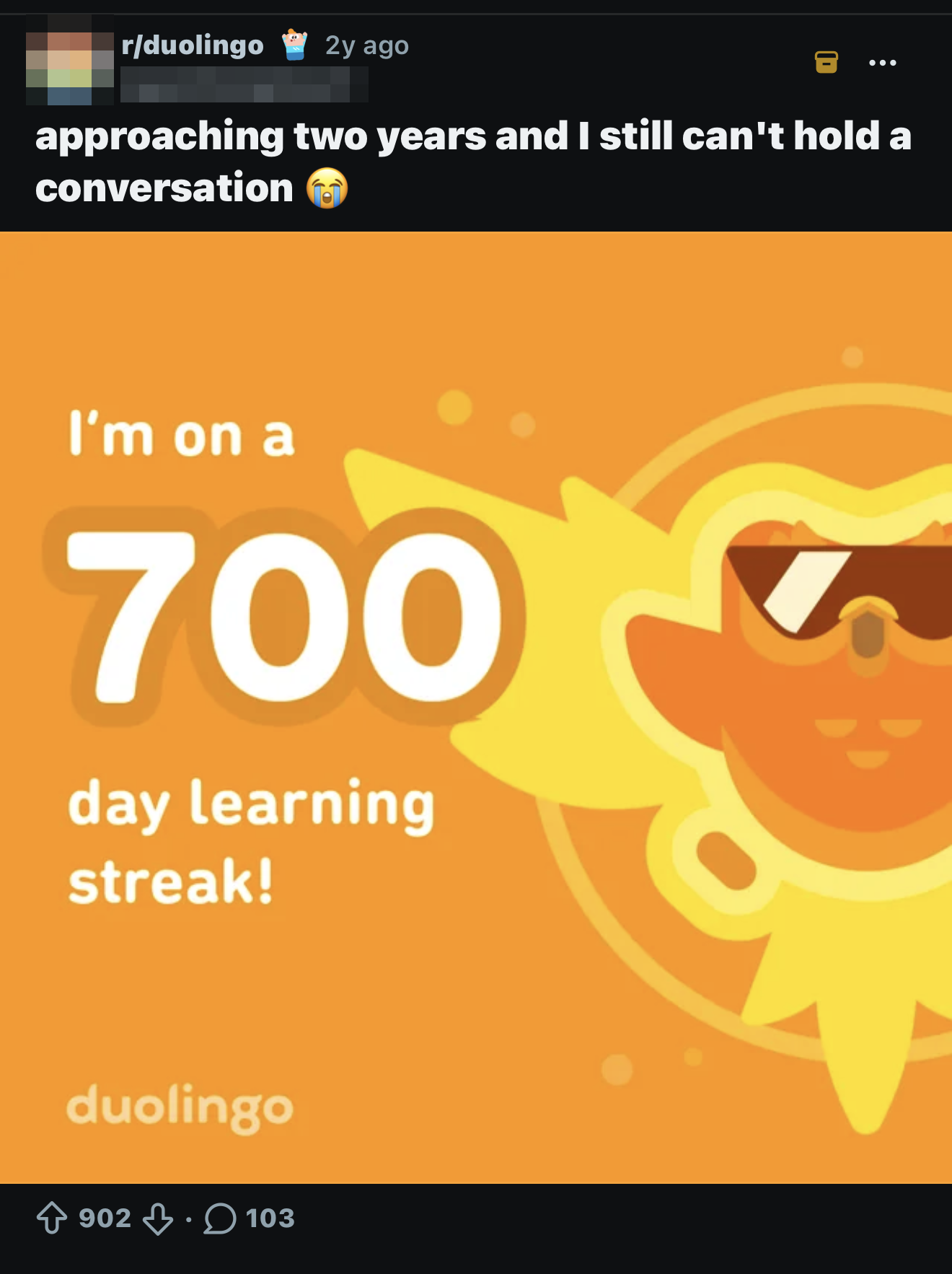 Screenshot of a Reddit post on r/duolingo showing a 700-day learning streak and the caption 'approaching two years and I still can't hold a conversation'